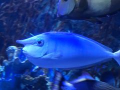 -太平洋海底世界