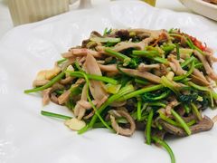 芫爆肚丝-便宜坊烤鸭店(科创店)