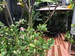 -肴约·花园式餐厅(湖里店)