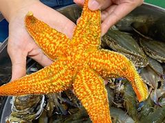 -富临港·蒸汽海鲜·手抓海鲜·炒菜(栈桥店)