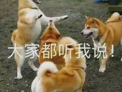 -滋色臻选川菜(北京坊旗舰店)