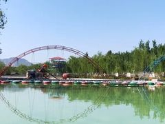 -东方巨龟苑景区