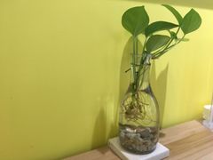 景观位-六月南洋(时代天街店)