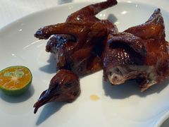 -金苑海鲜酒家(来魅力店)