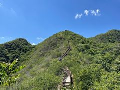 -大岭沟猕猴桃谷风景区