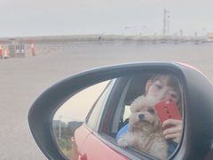 -南汇新城海滩