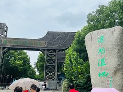 -溱湖国家湿地公园