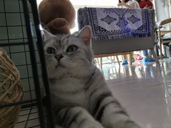 -平行世界·猫咖(首经贸店)