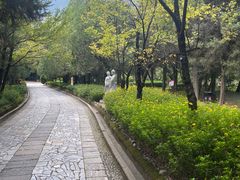 -蝴蝶泉公园