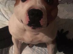 -梧桐栖·养生·spa