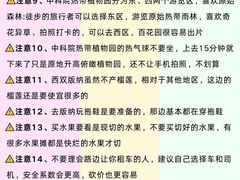 -西双版纳原始森林公园