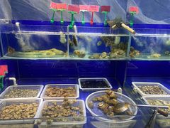 水产区-喜乐餐厅•灯笼虾球首创者•本地小海鲜(二马路店)