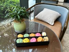 -福州泰禾铂尔曼酒店·大堂酒廊