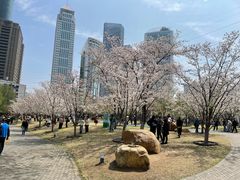-西北湖绿化广场