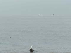 -炭舍干锅·烤鱼(扬名广场店)