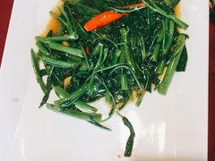 空心菜-Daddy Nimman Chiang Mai