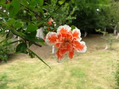 -白塘生态植物园