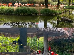 -上海野生动物园