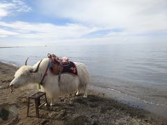 -青海湖国家重点风景名胜区