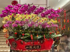 -北园酒家(小北路店)
