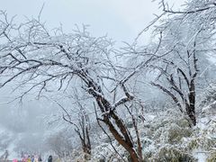 -瓦屋山景区