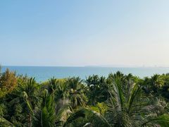 -三亚海棠湾万丽度假酒店