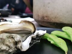 -蚝山·喷汽火山生蚝(前福路店)