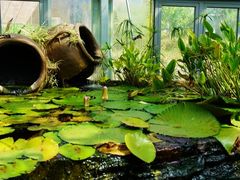 -国家植物园南园