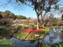 -杭州植物园