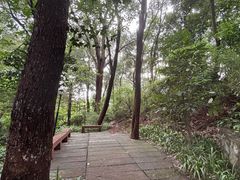 -蟹山公园