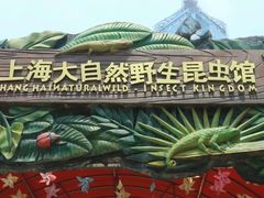 -上海大自然野生昆虫馆(东方明珠·爬宠昆虫探索中心)