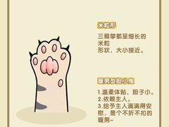 -翊宠yipet猫狗购宠庄园