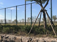 -春花秋色城市公园