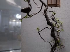 -翡翠江南(国贸商城店)