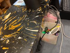 -芸山季·云南山珍菌火锅(南翔印象城MEGA店)