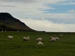 -Hotel Skogafoss Bistro Bar