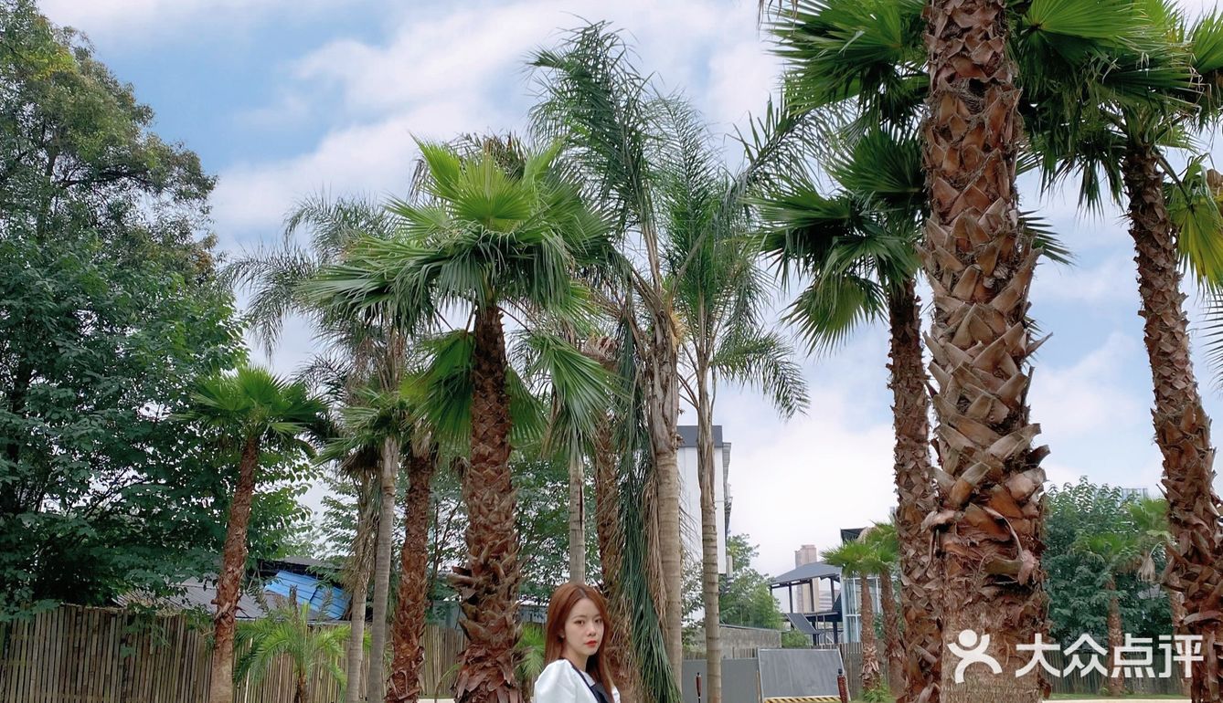 这里不是国外❗️是藏在成都三圣乡的巴厘岛🏝