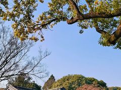 -无锡梅园公园