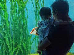 -江和美海洋公园
