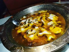 -雲蜀龙阁·金牌水煮鱼(方庄店)