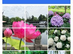 -无锡蠡湖国家湿地公园-蠡园