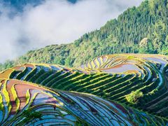-龙脊梯田