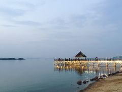-瑶湖郊野森林公园