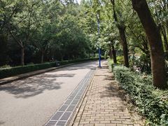 -滴水岩森林公园