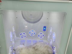 -爱洗澡的猫(望京店)