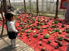 -前小桔亲子创意农场·草莓采摘·露营烧烤