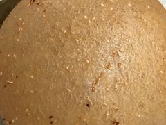 麻团-大鹅岛绿色生态美食园