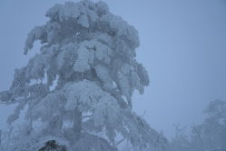 -大秃顶子山