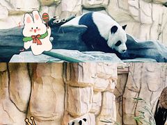 -泉州海丝野生动物世界