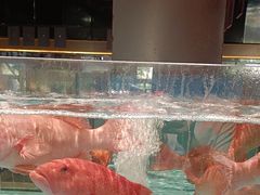 -阿伟海鲜楼·福建菜(延寿店)